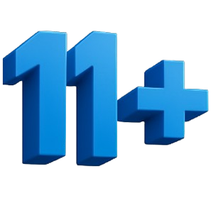 HOPEHARBOR Accounting